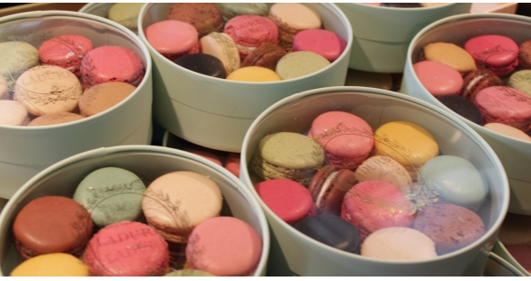 Paris590x313ConBorde